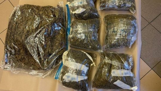 Zgorzelec: Policjanci zabezpieczyli prawie 9 kg marihuany u 33-latka! [WIDEO]
