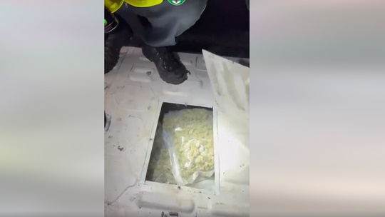 Zgorzelec: udaremniony przemyt narkotyków na A4 [WIDEO]