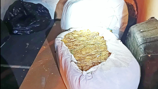 Zgorzelec: Ujawniono susz tytoniowy o wartości 700 tys. zł. 26-latek usłyszał zarzuty Zgorzelec: Ujawniono susz tytoniowy o wartości 700 tys. zł. 26-latek usłyszał zarzuty