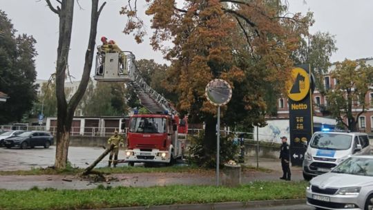 Zielona Góra: Czujny mieszkaniec zapobiegł niebezpieczeństwu na ul. Ogrodowej