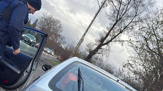 Zielona Góra: Prowadził bez uprawnień pod wpływem narkotyków i alkoholu