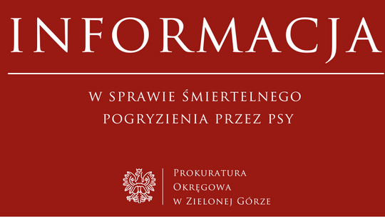 Zielona Góra: śledztwo po śmierci 46-letniego mężczyzny pogryzionego przez psy