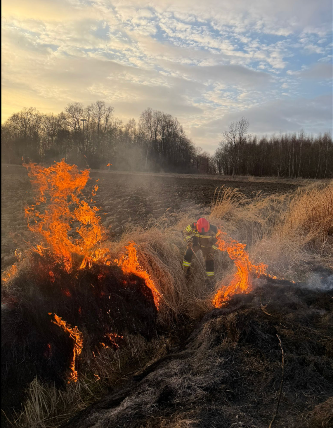 112 pożarów traw w powiecie zgorzeleckim!