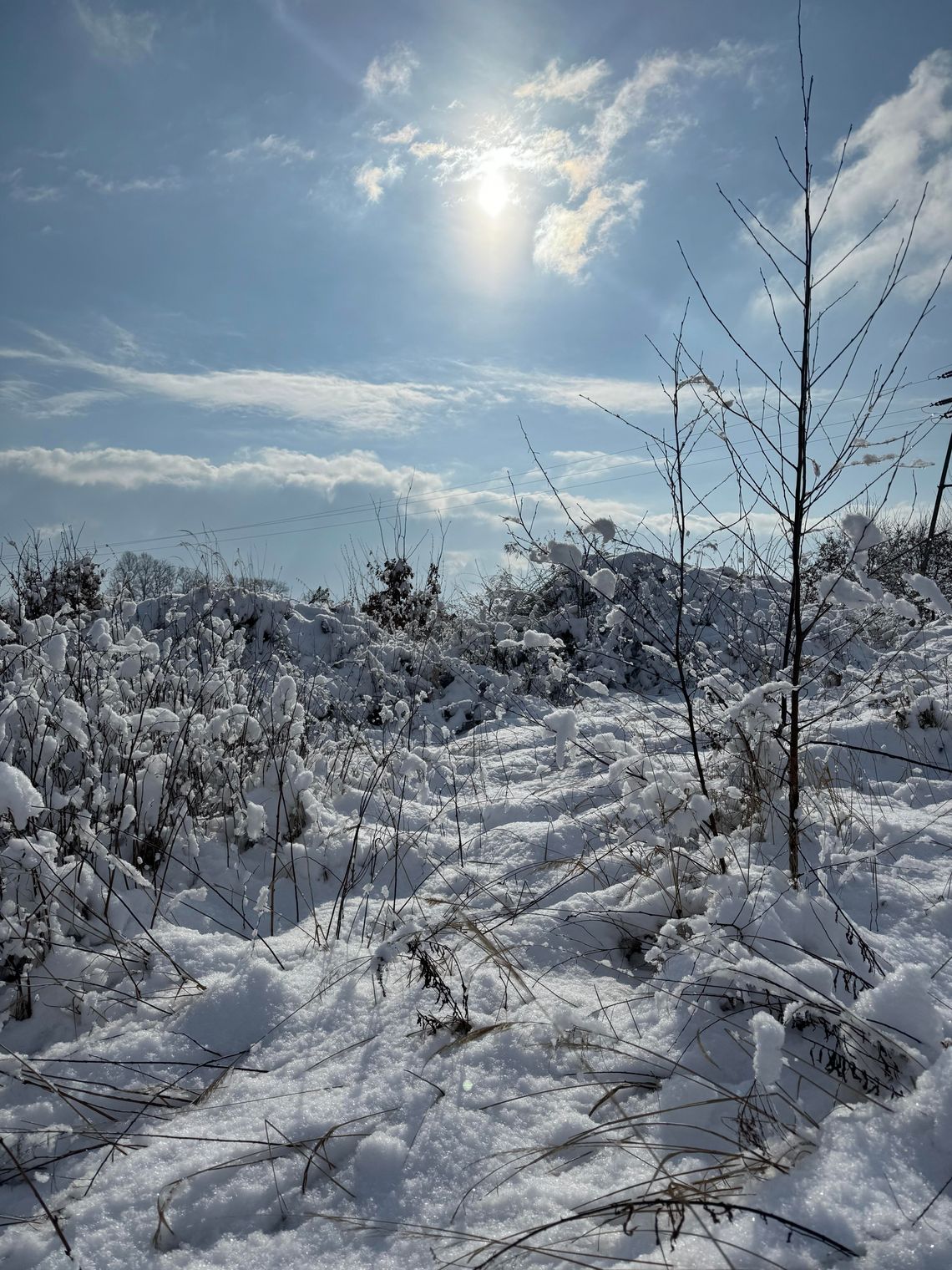 Białe święta 2025? Szanse rosną