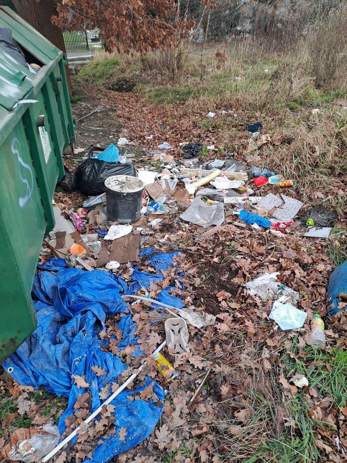 Bogatynia: Nielegalne składowanie odpadów - sprawca ustalony Bogatynia: Nielegalne składowanie odpadów - sprawca ustalony