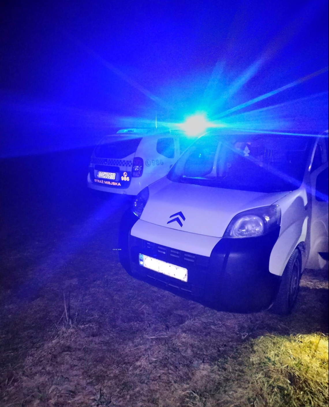 Bogatynia: podejrzenie kradzieży drewna ujawniło skradziony samochód