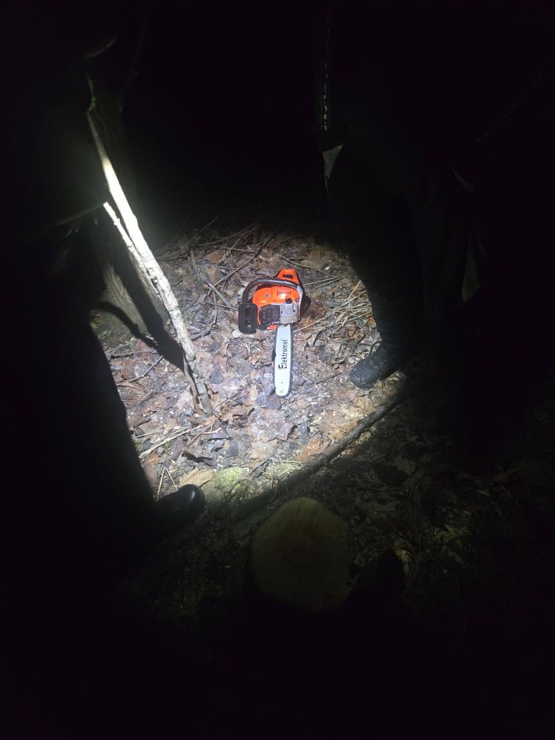 Bogatynia: ujęcie sprawcy kradzieży drzewa