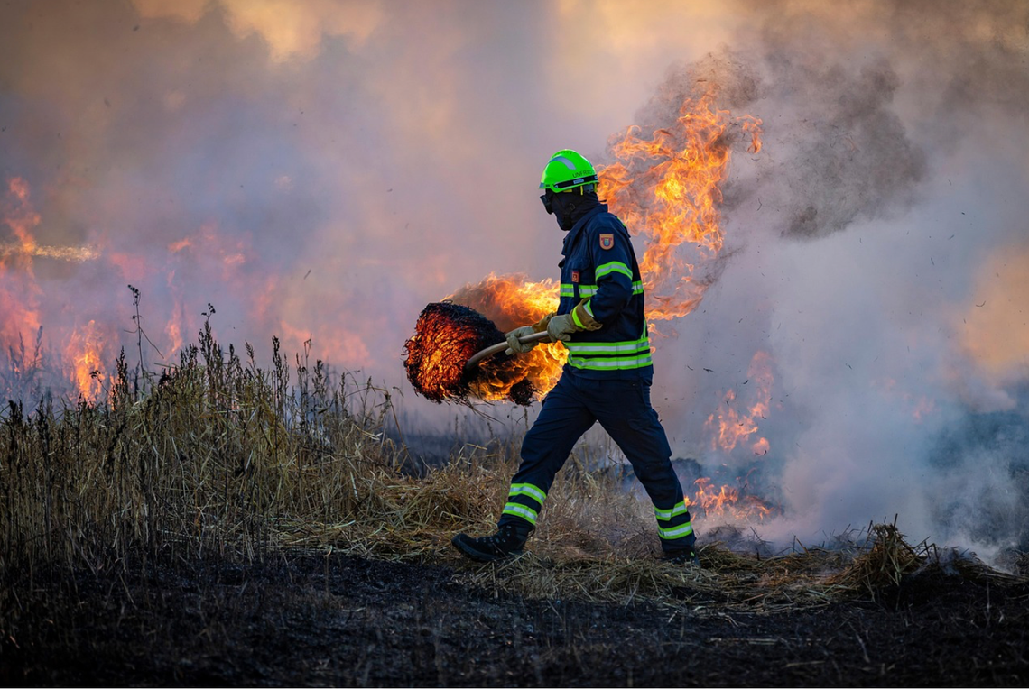 Co roku ten sam błąd - wiosenne wypalanie traw Co roku ten sam błąd - wiosenne wypalanie traw