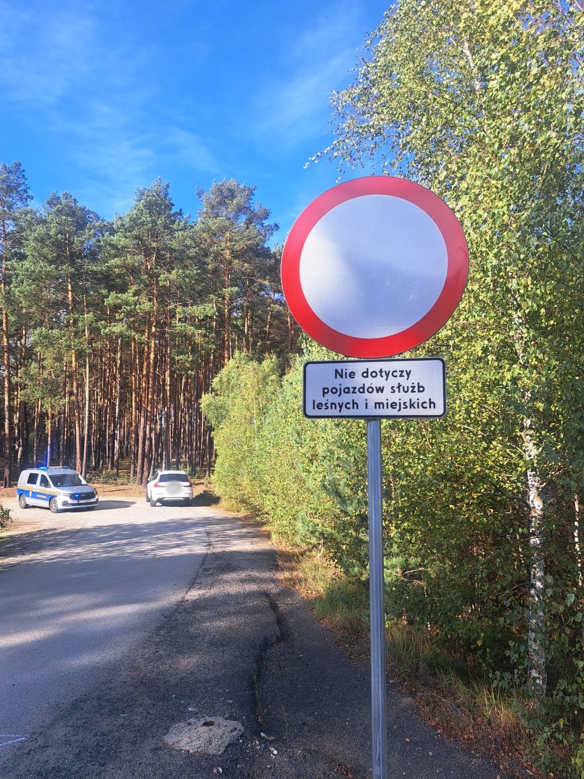 Czy można wjechać terenówką do lasu podczas grzybobrania?