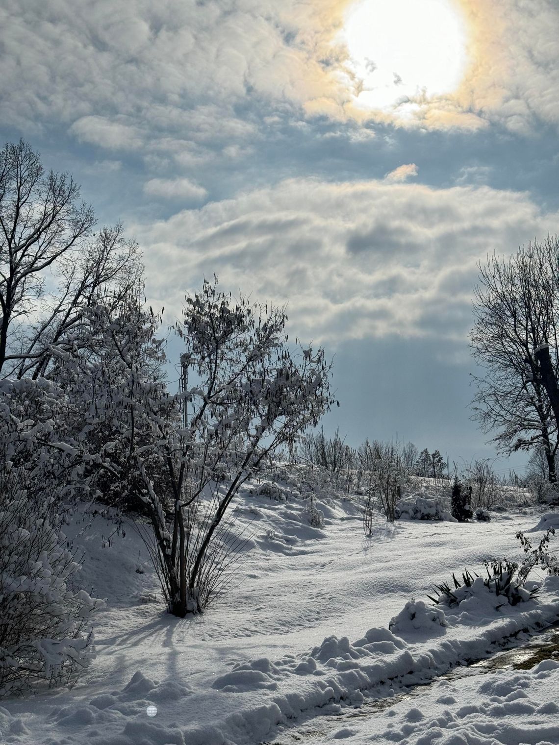 Czy w tym roku doczekamy się białych świąt? Czy w tym roku doczekamy się białych świąt?
