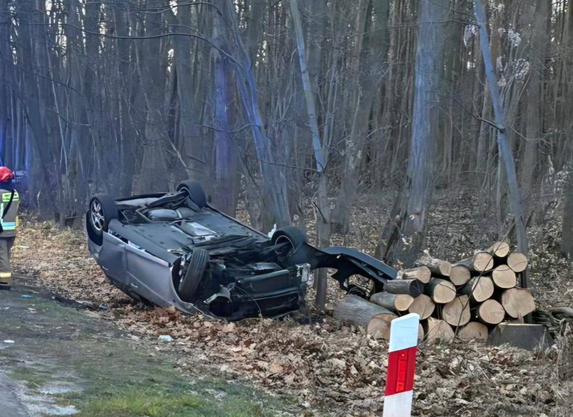 Dachowanie na DW 294