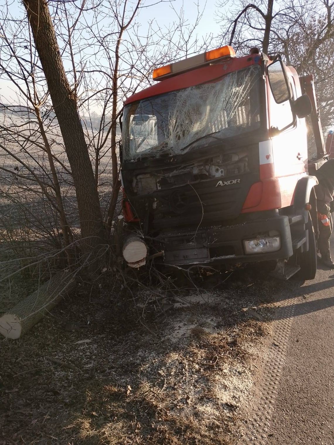 Dłużyna Dolna: ciężarówka uderzyła w drzewo