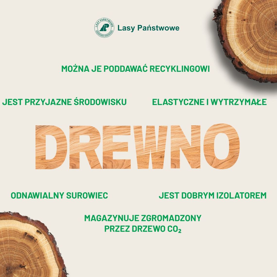Drewno - surowiec, który od tysięcy lat służy człowiekowi