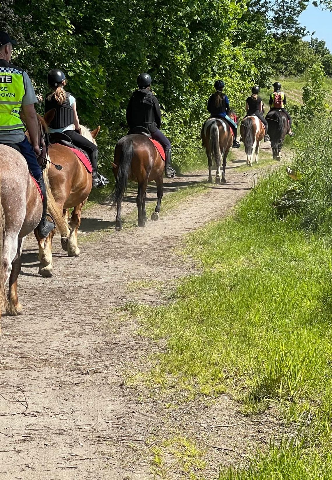 Gabi Horse Team – szkółka jeździecka dla każdego