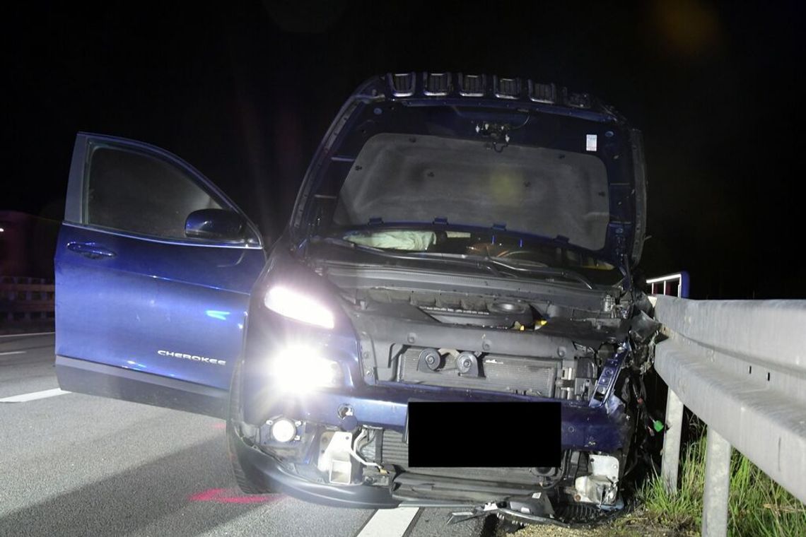 Görlitz: jechał pod prąd autostradą!