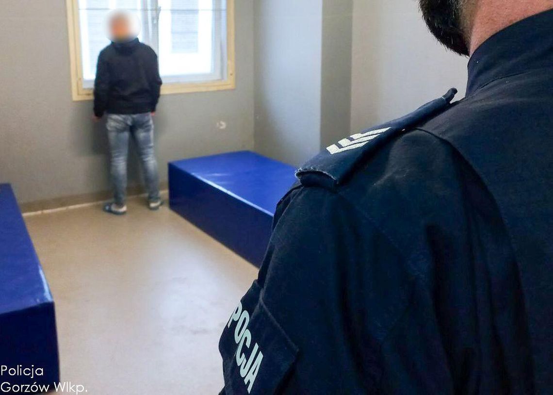 Gorzów Wielkopolski: długa lista przewinień kierowcy Mazdy Gorzów Wielkopolski: długa lista przewinień kierowcy Mazdy