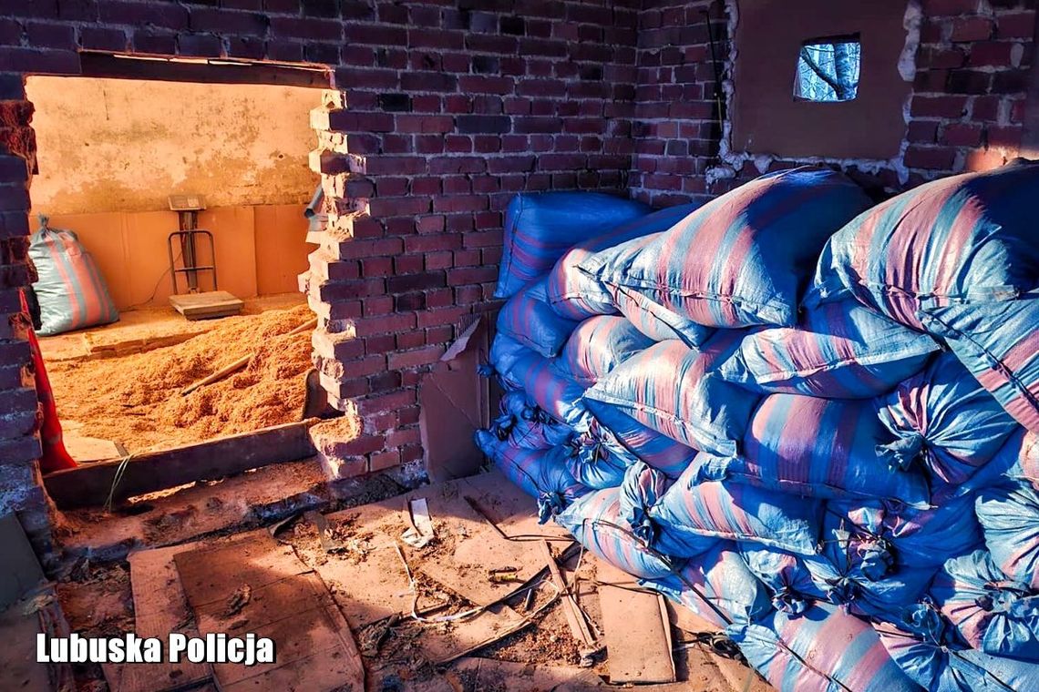 Iłowa: nielegalna produkcja zlikwidowana. Blisko trzy tony tytoniu