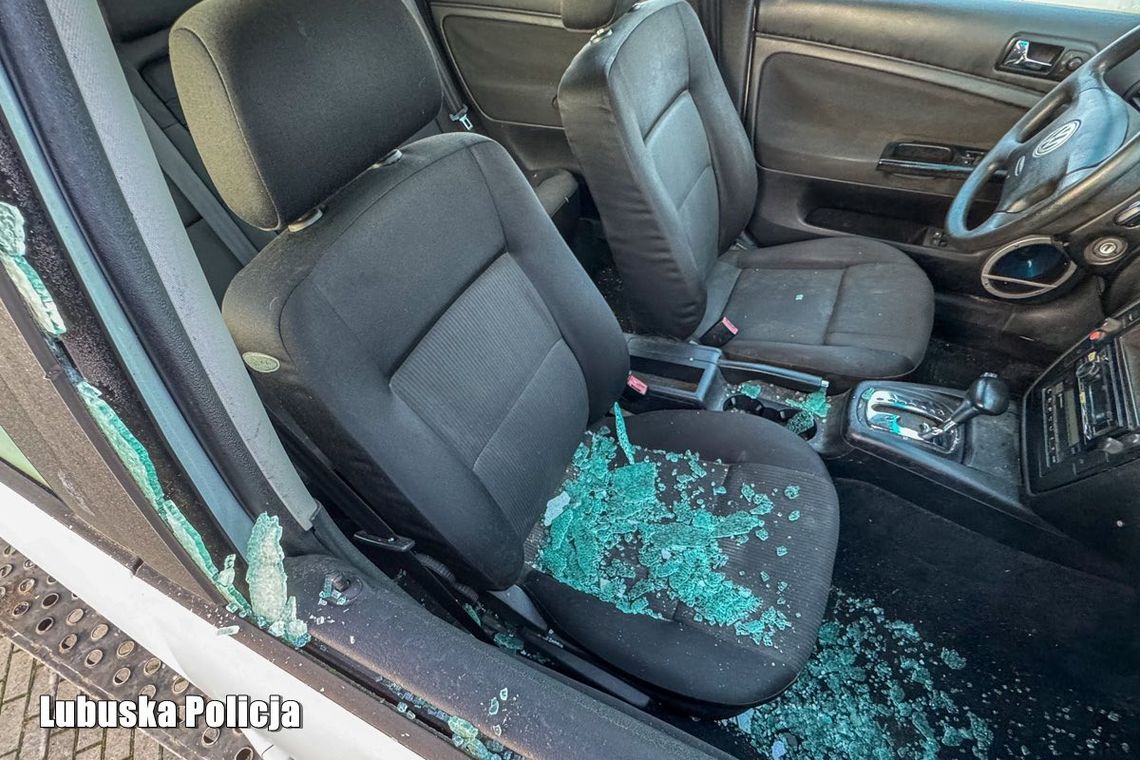 Iłowa: policjant w czasie wolnym zapobiegł kradzieży samochodu