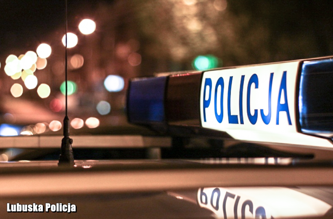 Iłowa: porzucił psa - usłyszał zarzuty