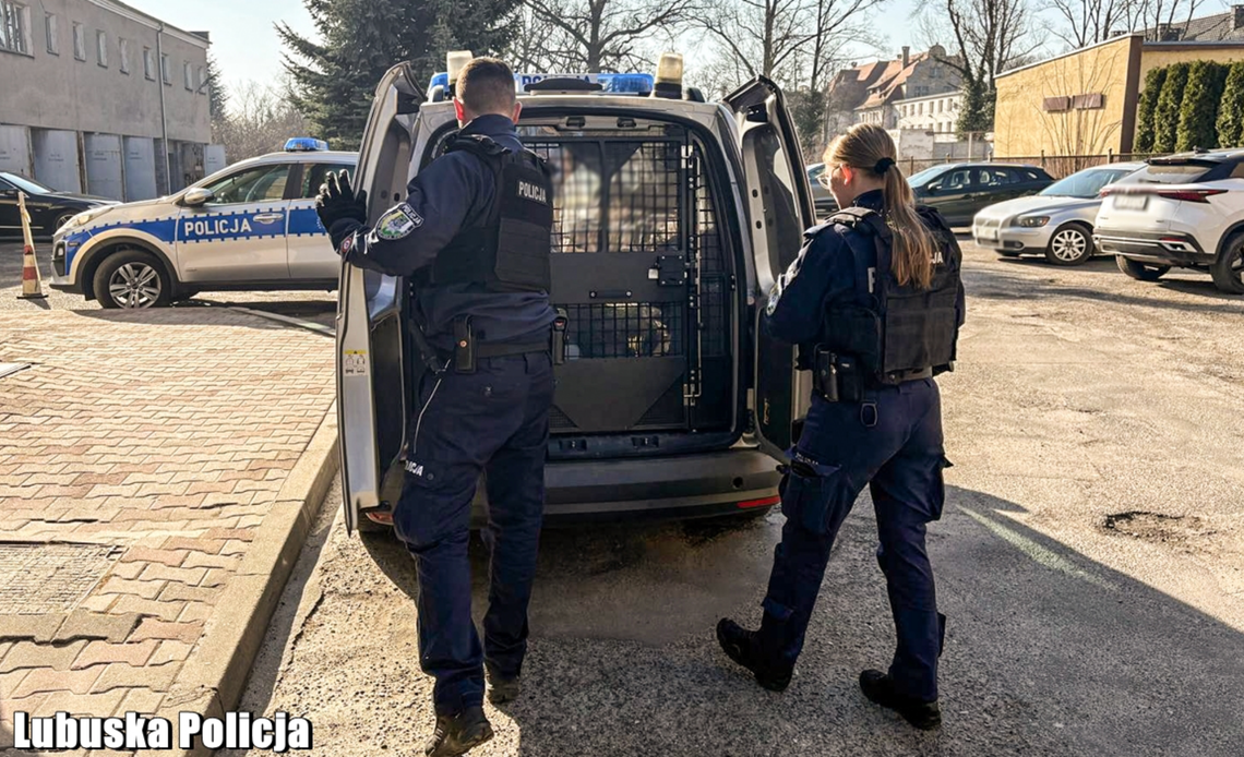 Kryminalni z Sulechowa zatrzymali sprawcę rozboju Kryminalni z Sulechowa zatrzymali sprawcę rozboju