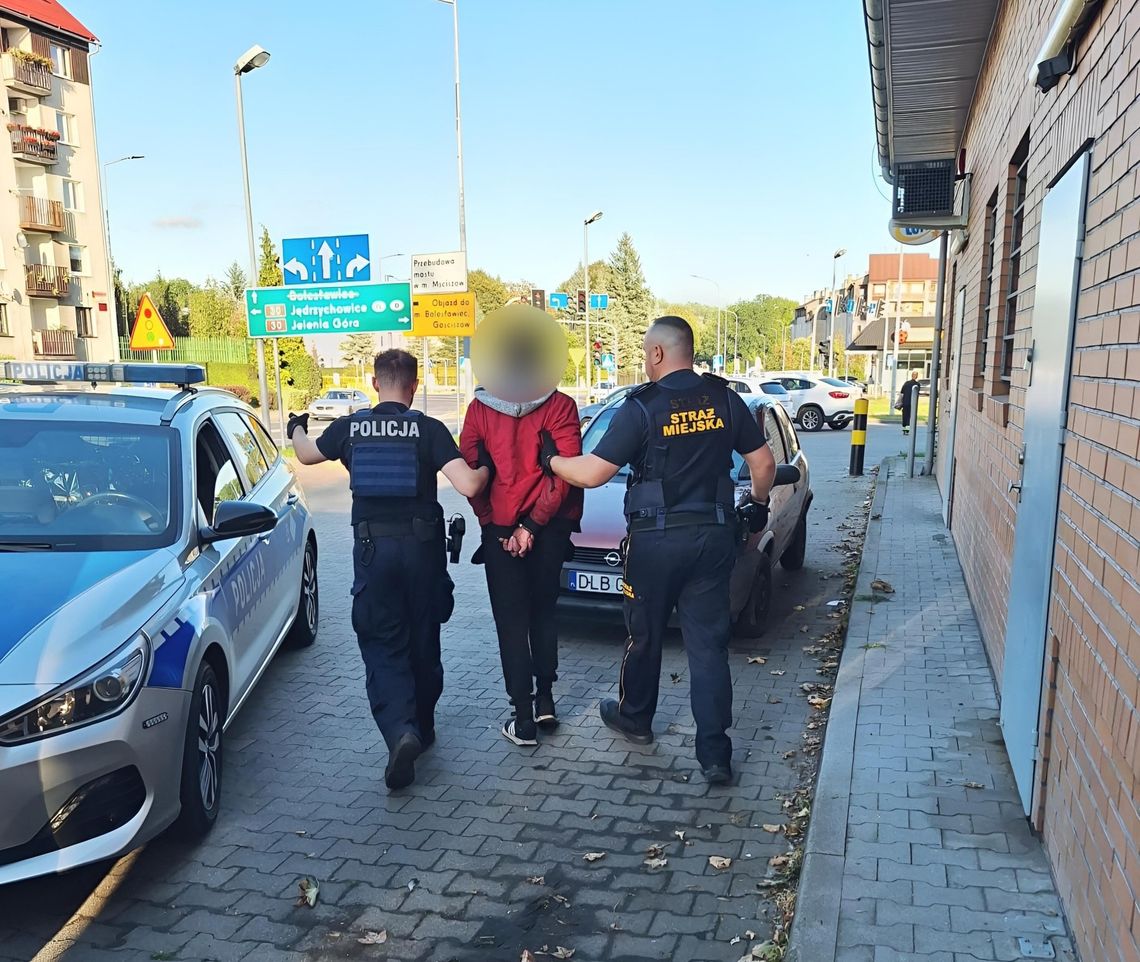 Lubań: Wspólne działania służb