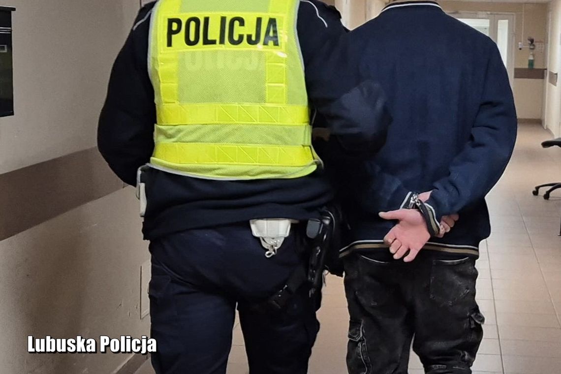 Lubuskie: 16 pijanych kierowców zatrzymanych w Walentynki Lubuskie: 16 pijanych kierowców zatrzymanych w Walentynki