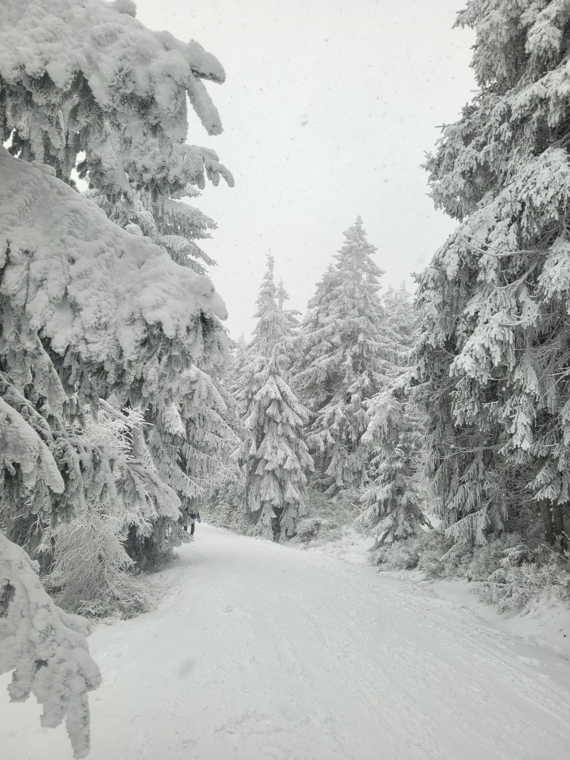 Nadchodzą silne mrozy