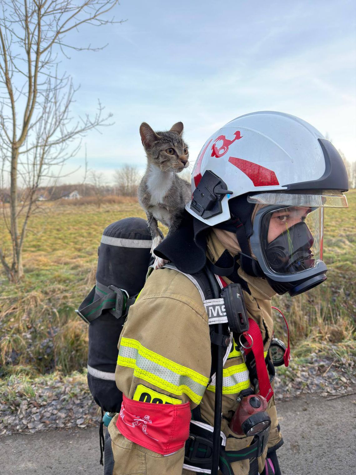 OSP w Olszynie: akcja ratunkowa kotka, który wpadł do studni OSP w Olszynie: akcja ratunkowa kotka, który wpadł do studni