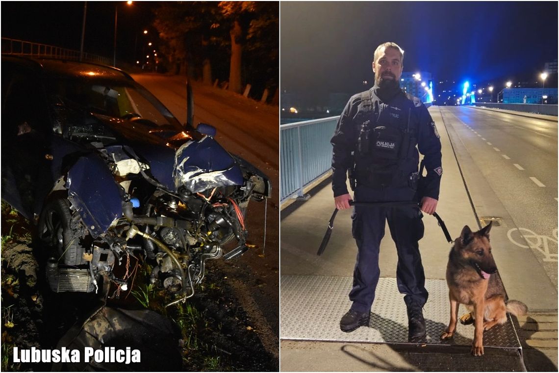 Pies policyjny Sadir doprowadził policjantów do pijanego kierowcy