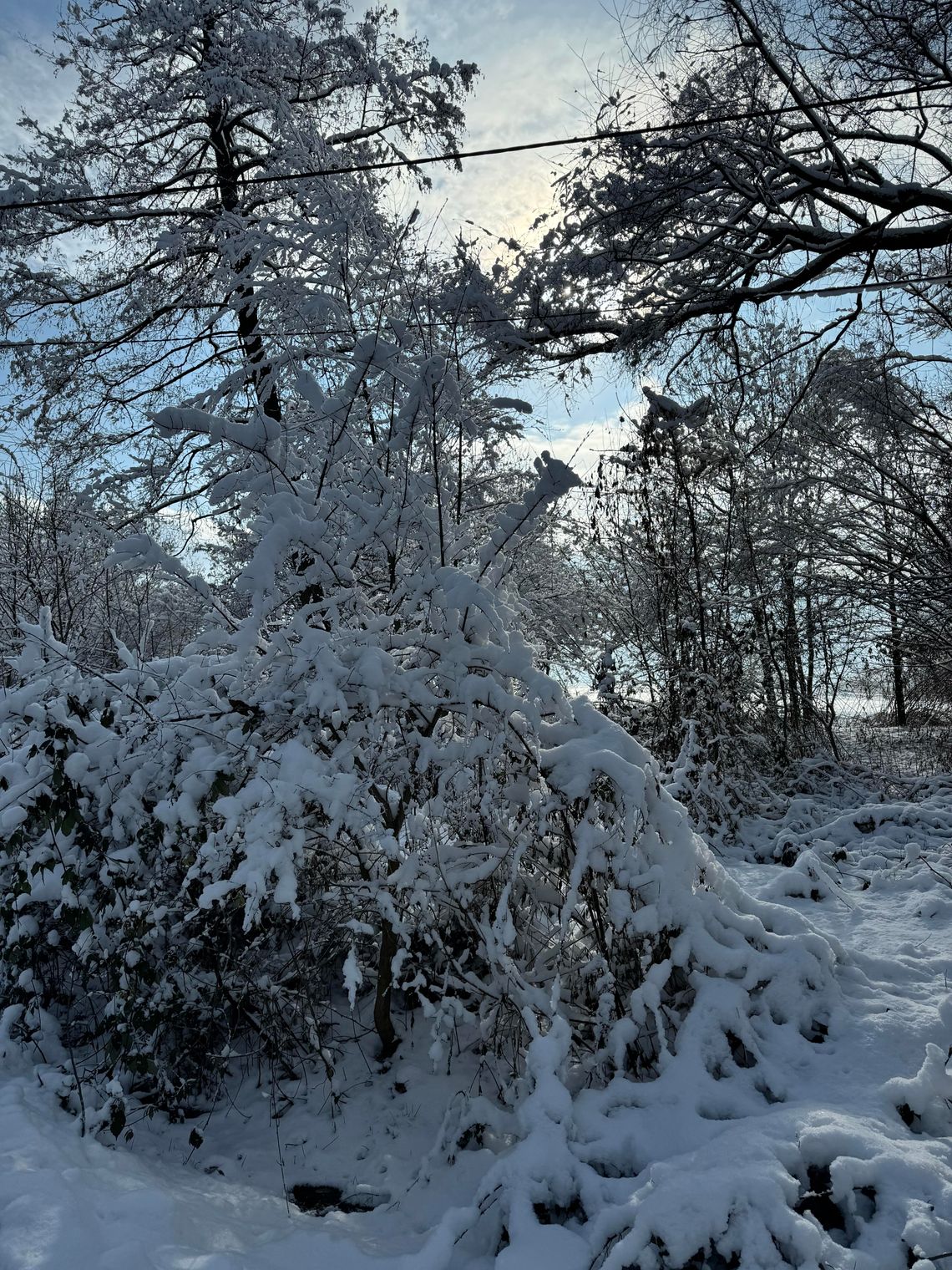 Pogoda podczas ferii zimowych