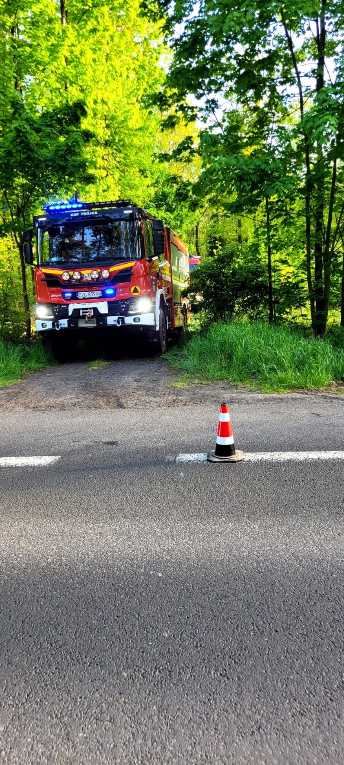Pożar lasu w Łagowie