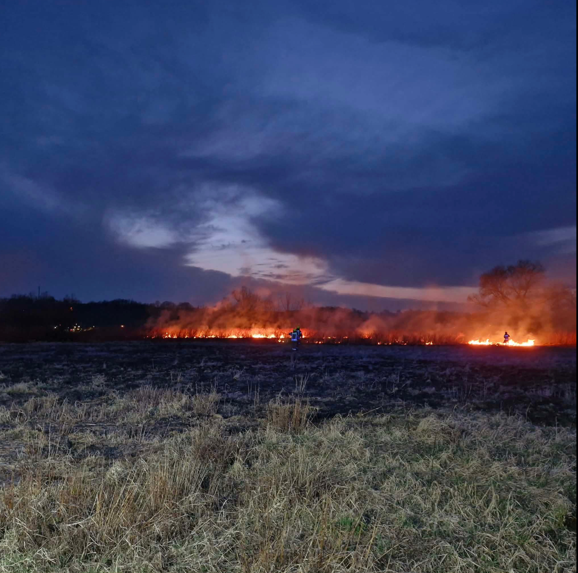 Pożar nieużytków w Krzewinie