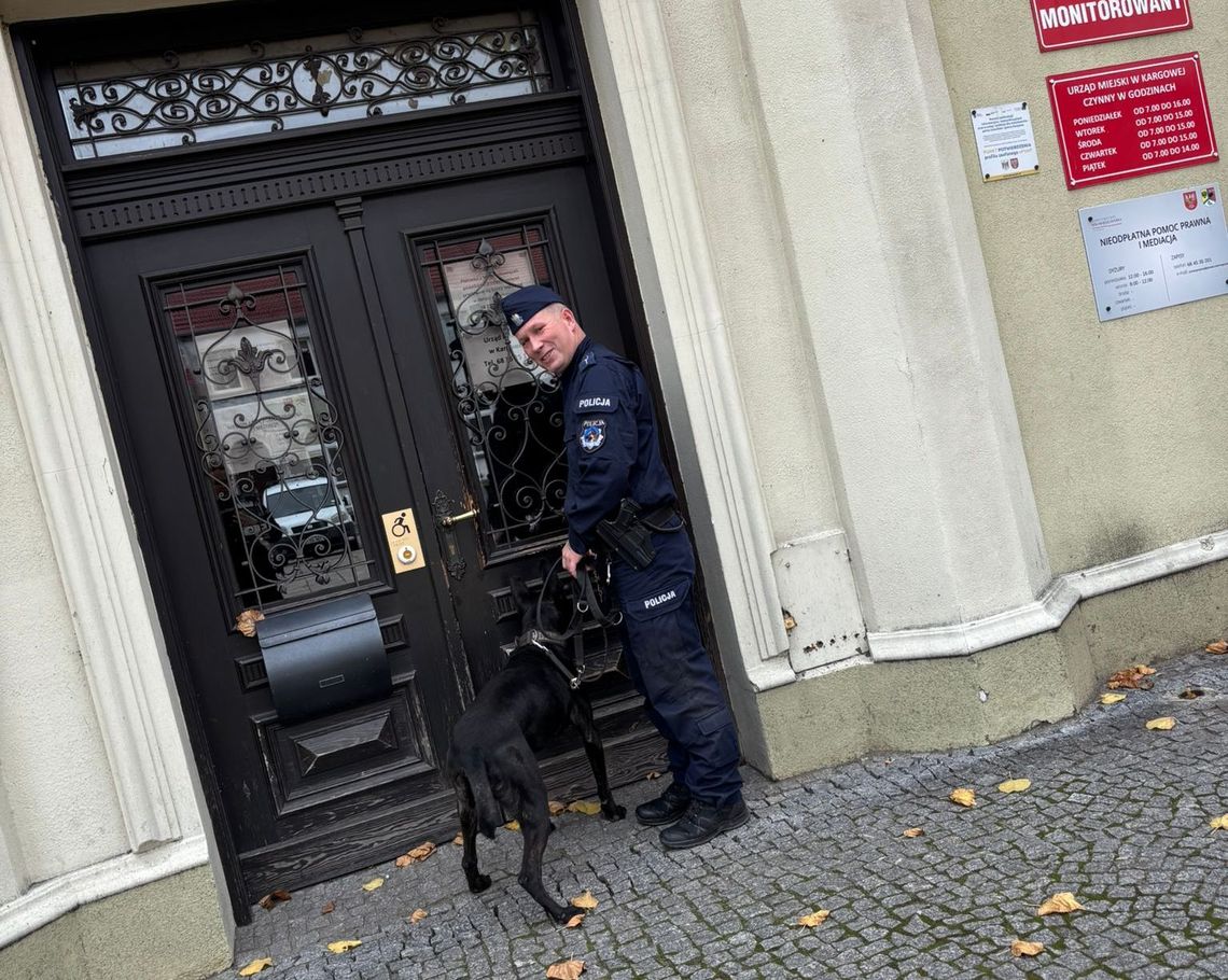 Poznajcie Izi i Dingo
