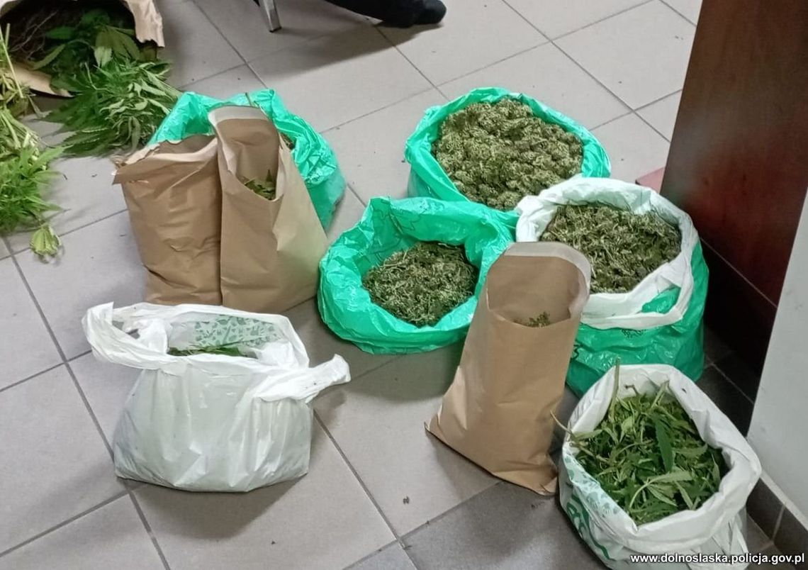 Rozbito międzynarodowe grupy przestępcze [WIDEO]