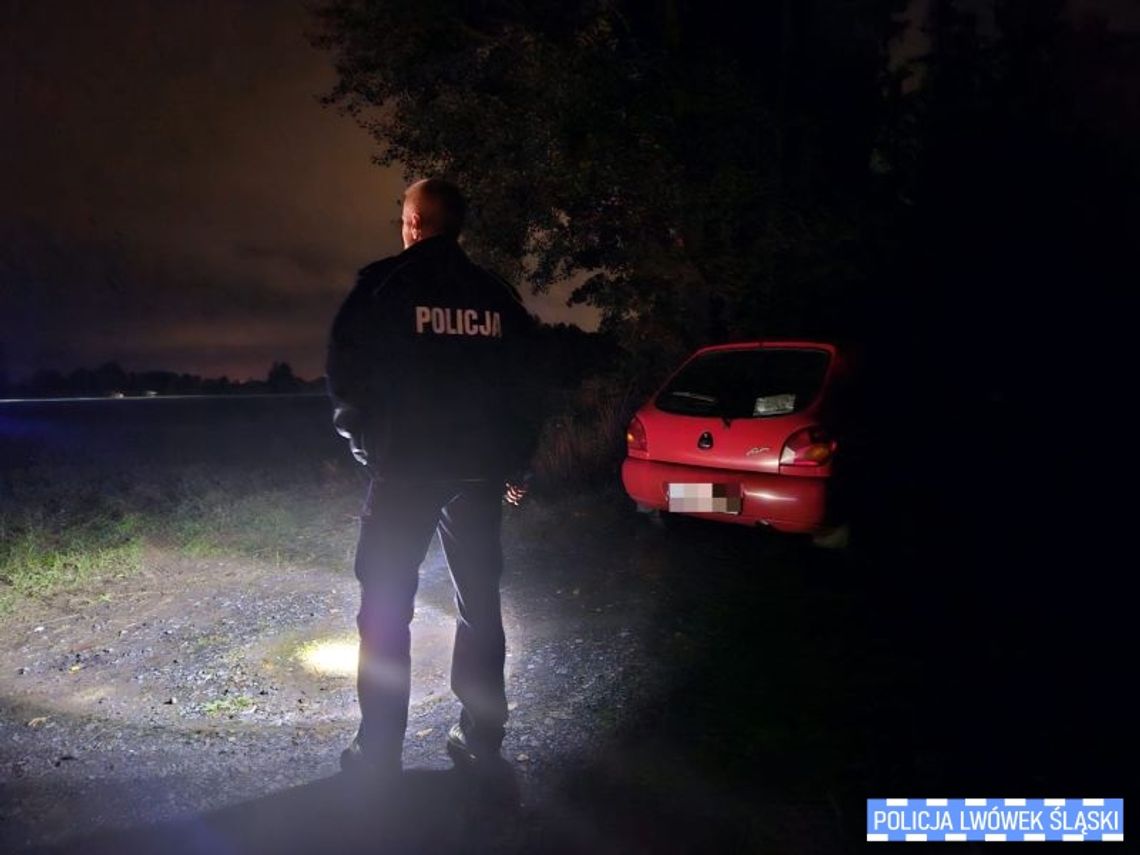 Seria zaginięć na terenie powiatu lwóweckiego