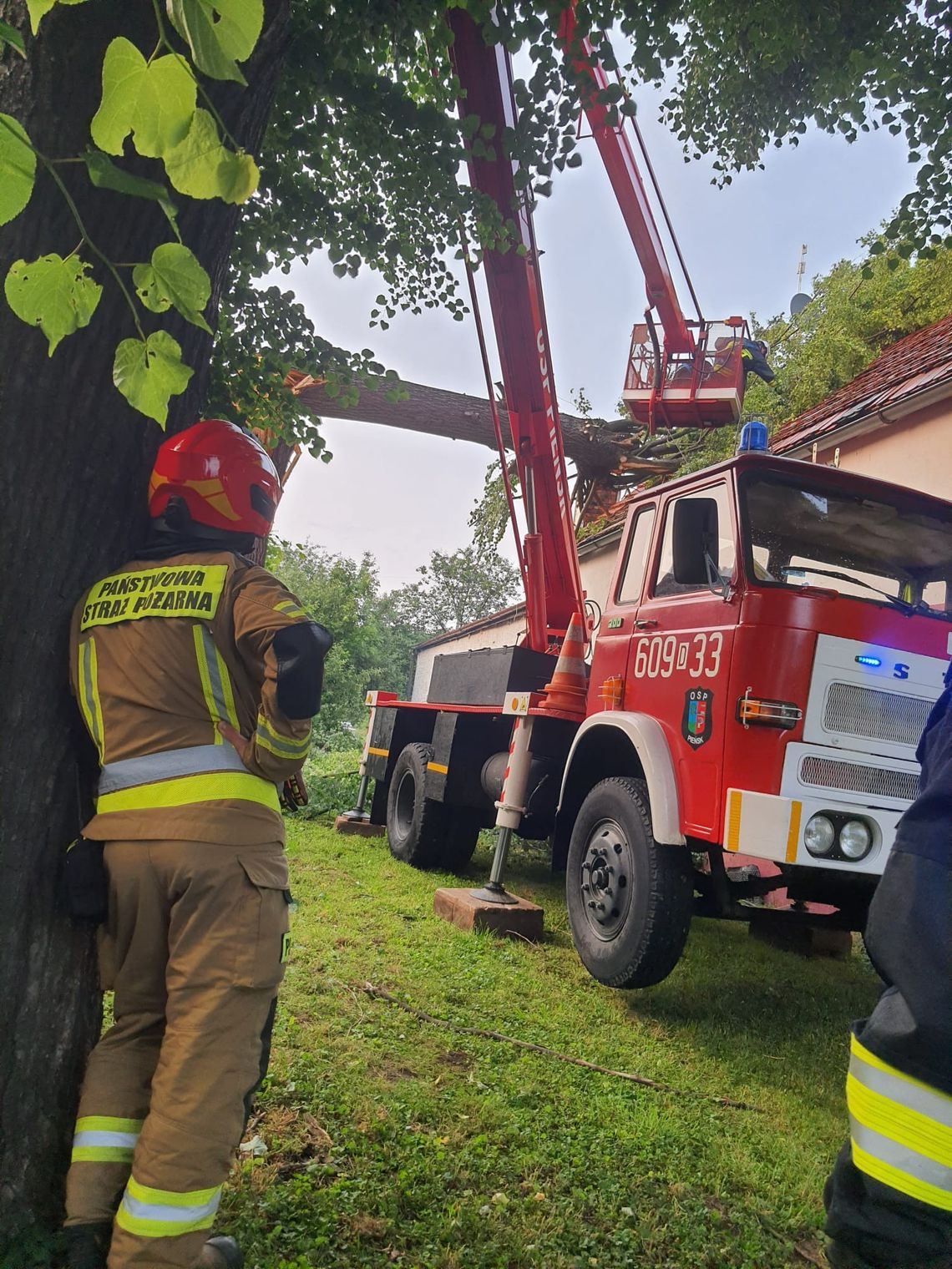 Silny wiatr powalił drzewo na budynek mieszkalny w Lasowie
