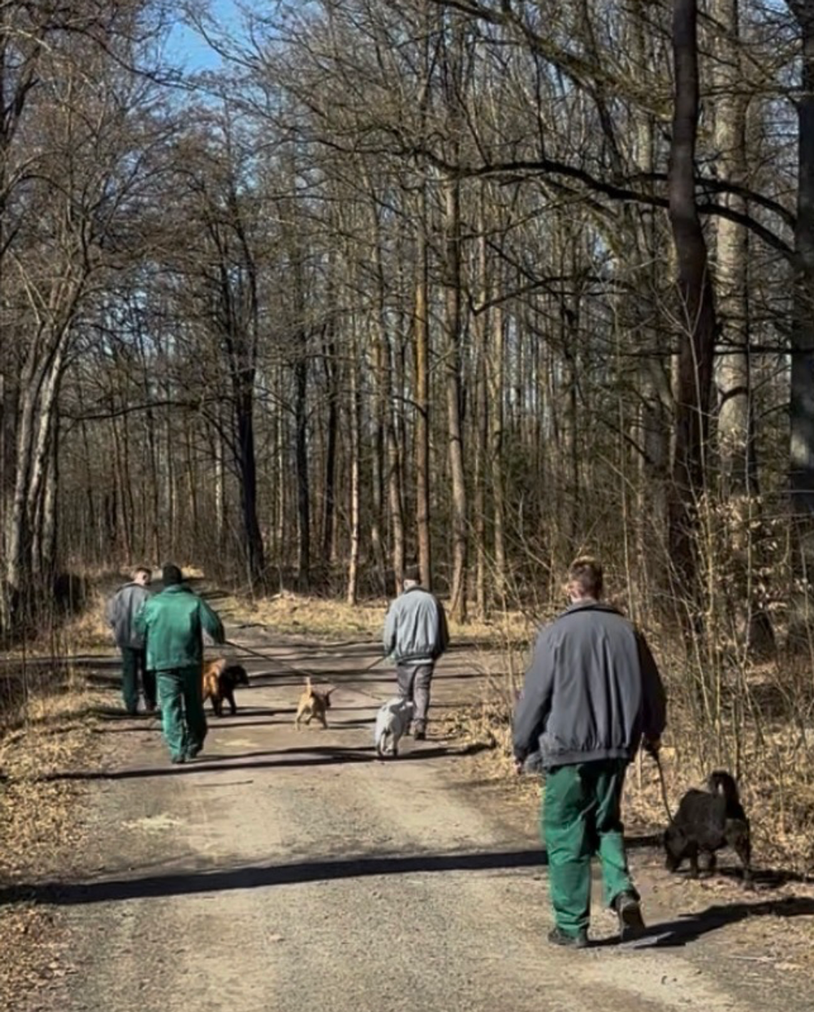 Skazani pomagają w schronisku dla zwierząt