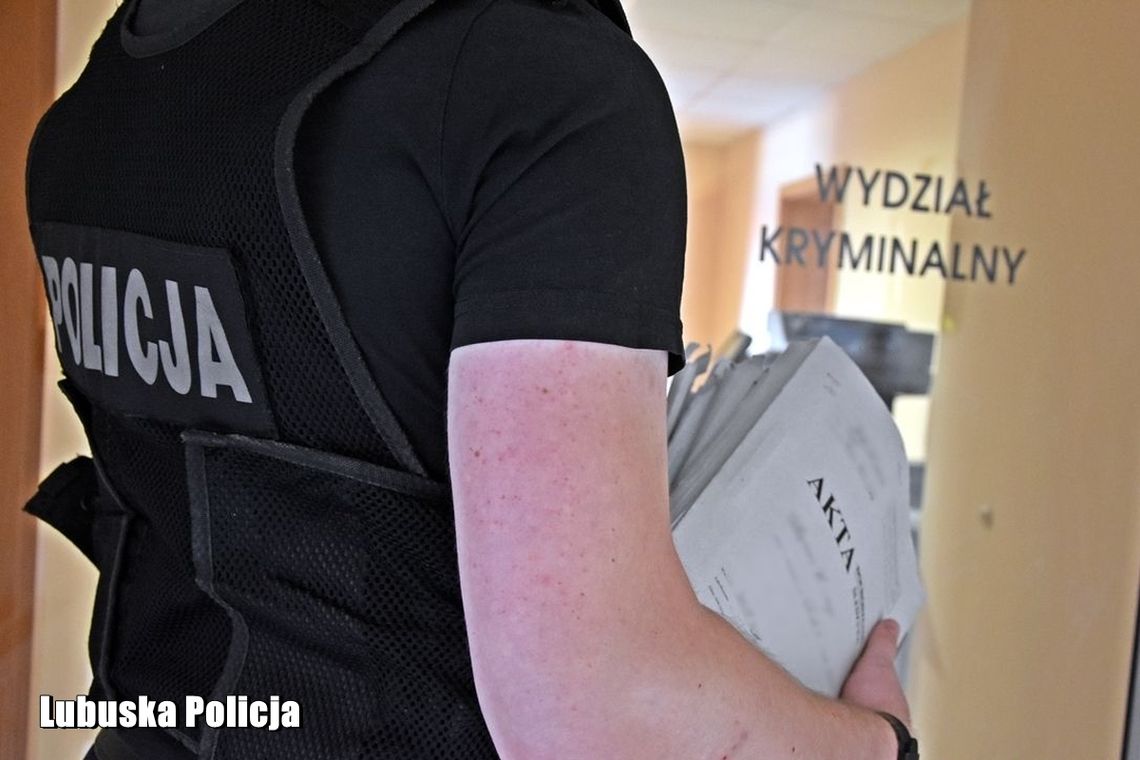 Szajka złodziei sklepów w Dobiegniewie rozbita
