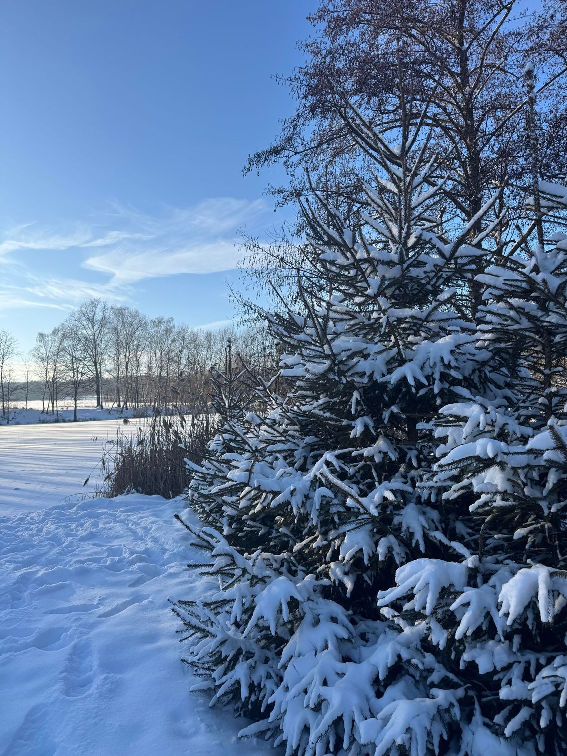 Uwaga na fałszywe oferty noclegów