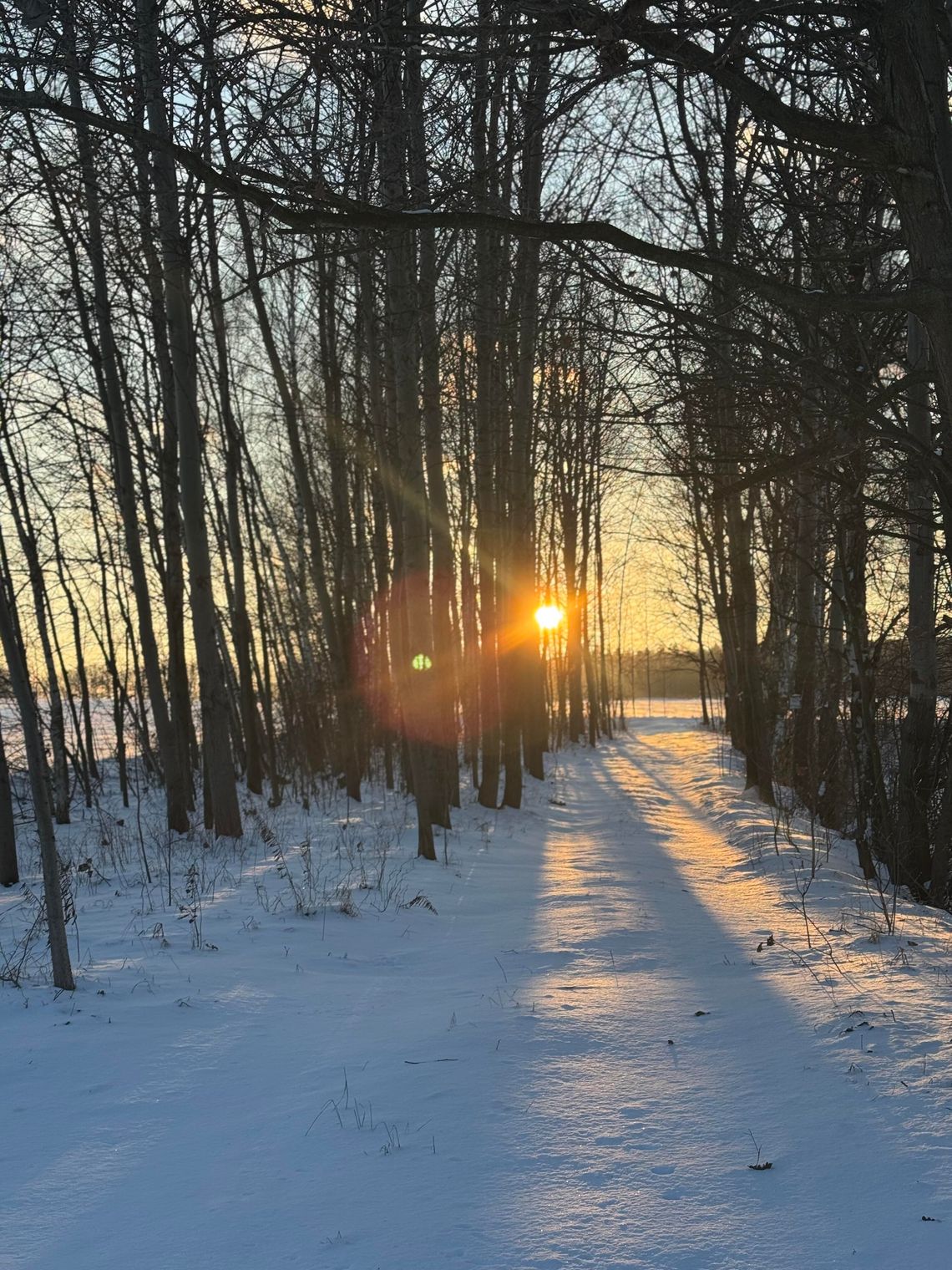 W następnym tygodniu powrót mrozów na zachodzie kraju