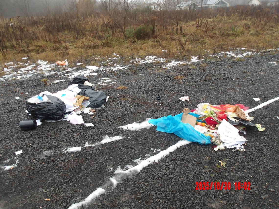 Żary: Straż Miejska ustaliła sprawcę zaśmiecania  i zobowiązała do uprzątnięcia odpadów