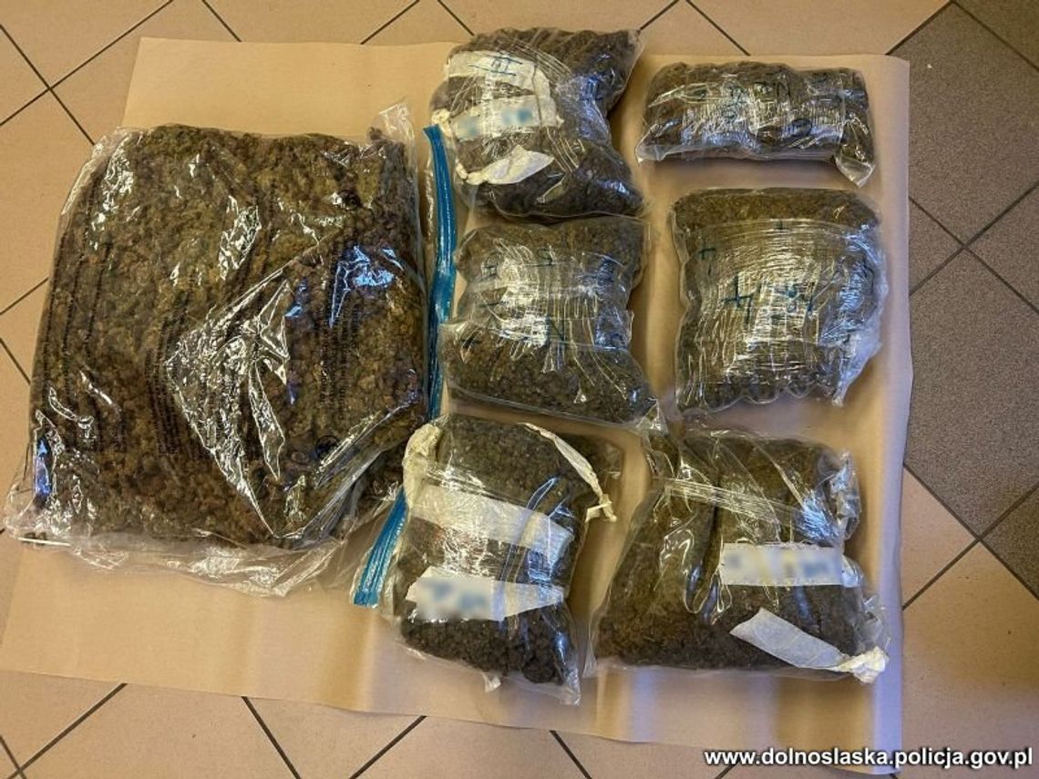 Zgorzelec: Policjanci zabezpieczyli prawie 9 kg marihuany u 33-latka! [WIDEO]
