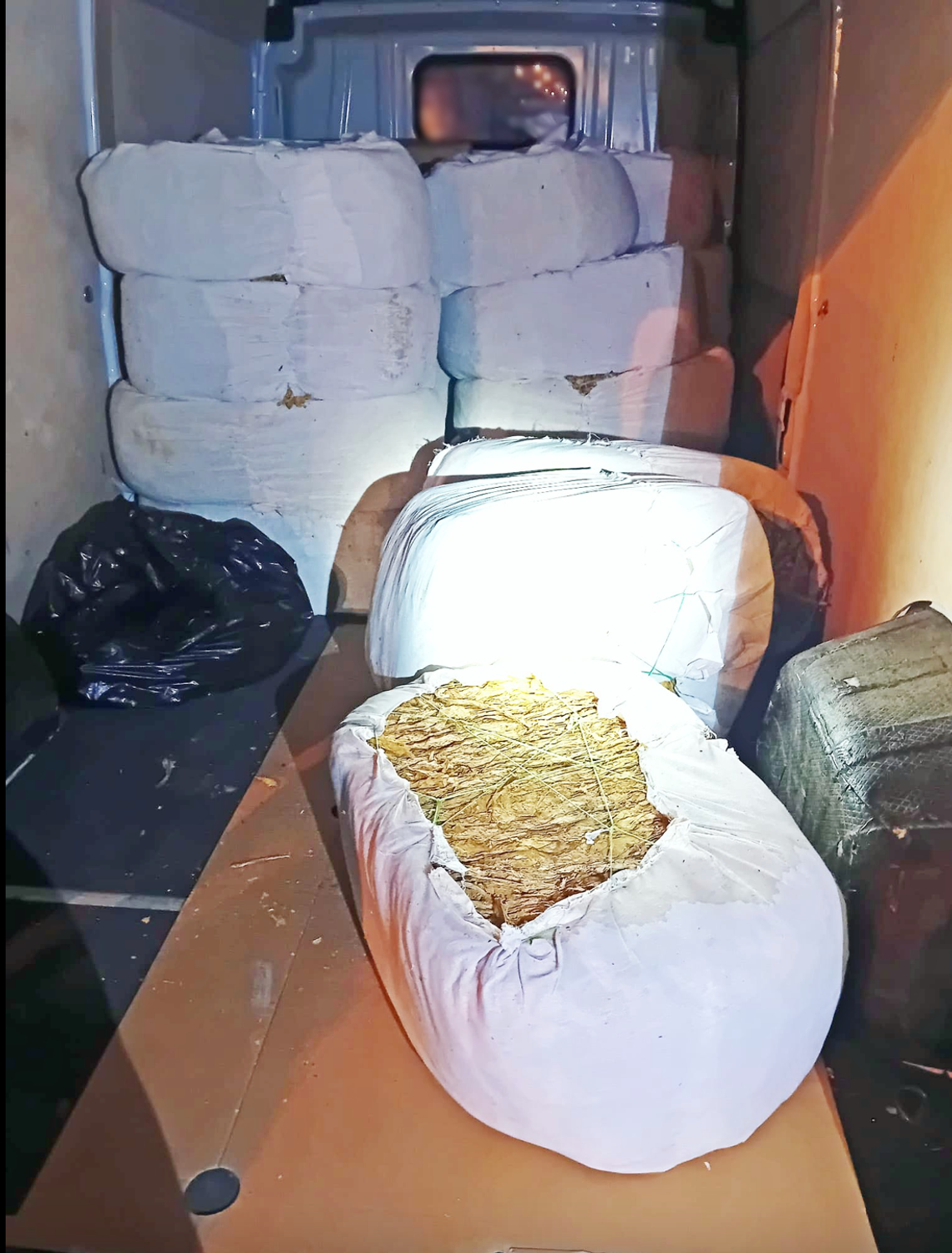 Zgorzelec: Ujawniono susz tytoniowy o wartości 700 tys. zł. 26-latek usłyszał zarzuty Zgorzelec: Ujawniono susz tytoniowy o wartości 700 tys. zł. 26-latek usłyszał zarzuty