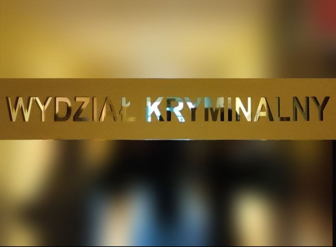 Zgorzelec: zatrzymani za kradzieże i zniszczenie mienia