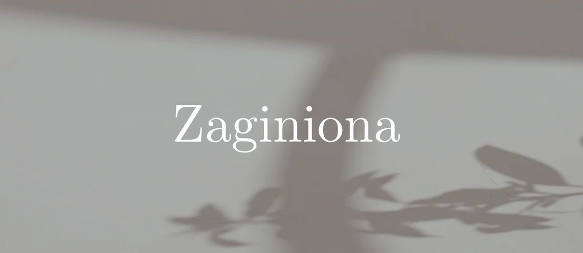 Zielona Góra: Policja poszukuje 16-letniej Leny